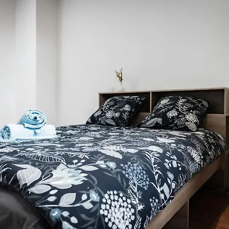 Apartment T2 Completely Renovated - Downtown *