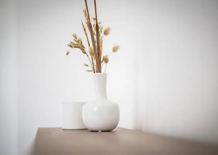 Apartment T2 Completely Renovated - Downtown